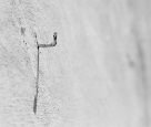 I chiodi di Ulisse #691_07
