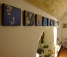 dsc08617